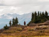 Death_to_stock_photography_wild_31-1648 Death_to_stock_photography_wild_31-1648