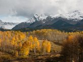 Death_to_stock_photography_wild_81648 Death_to_stock_photography_wild_81648