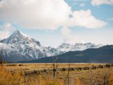 Death_to_stock_photography_wild_91648 Death_to_stock_photography_wild_91648