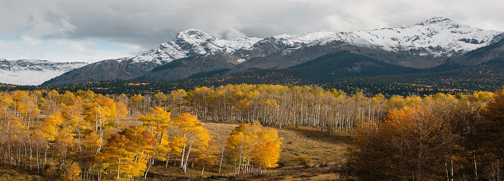 location-slider-img